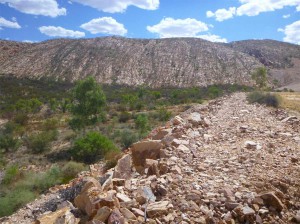 Investment and employment